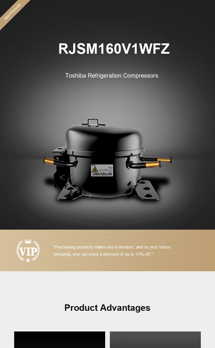 Toshiba Compressor RJSM160V1WFZ, technical parameters pdf, structure diagram